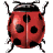 axelus
